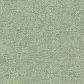 Обои Alessandro Allori Giorgio