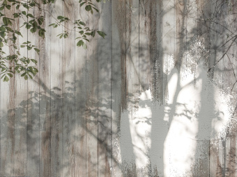 Фотообои Wall Street VETVE 22