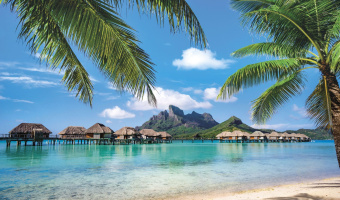 Фрески/Панно ORTOGRAF