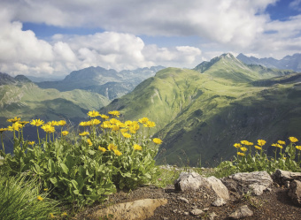 Фрески/Панно ORTOGRAF Горы