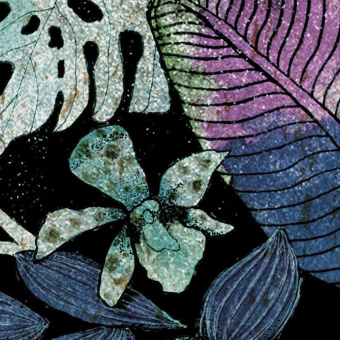 Обои Yate Florence