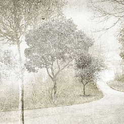  Обои Skinwall Contemporary Collection