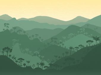 Фотообои Wall Street JUNGLE