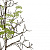 Обои Mr Perswall Urban Nature