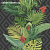 Обои York Outdoors In