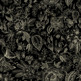 Обои Marburg Gloockler Pompoos Provence