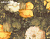 Обои AS Creation Metropolitan Stories