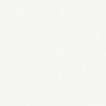 Обои Rasch Estetica