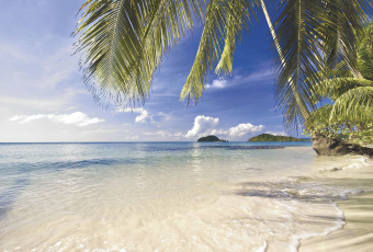 Фрески/Панно ORTOGRAF