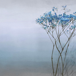 Фотообои Onprint Watercolour melody Фотообои Onprint Watercolour melody