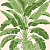 Обои Thibaut Palm Grove