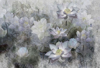 Фотообои My Fresco Природа