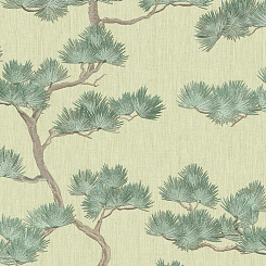 Обои Alessandro Allori Giorgio