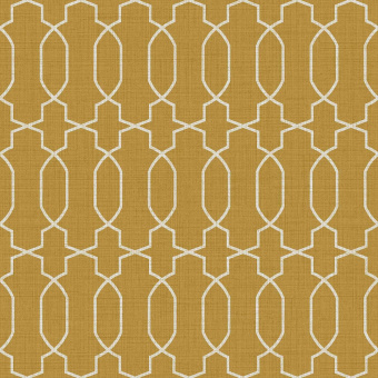 Обои Parato Amazzonia