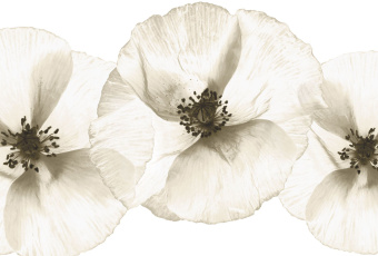 Фрески/Панно ORTOGRAF