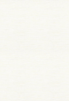 Обои Trendsetter AI