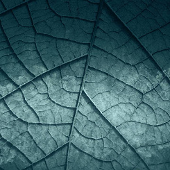  Обои Skinwall Contemporary Collection