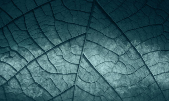  Обои Skinwall Contemporary Collection