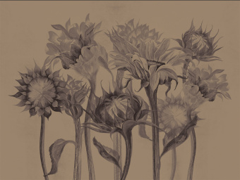 Фотообои Wall Street SUMMERTIME