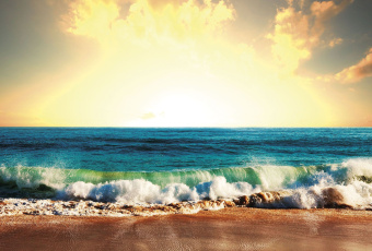 Фрески/Панно ORTOGRAF