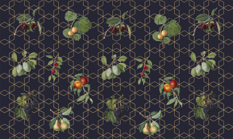 Фотообои Co.De CODE 01