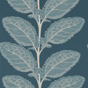 Обои Thibaut Vista