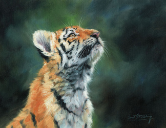 Фрески/Панно ORTOGRAF