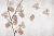 Обои My Fresco Природа
