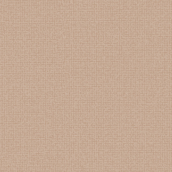 Обои Alessandro Allori Bruni