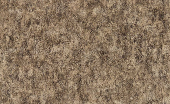 Обои Clarke & Clarke Expressions Performans