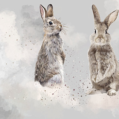 Фотообои Wall Street FAUNA ZOOM