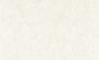 Обои Clarke & Clarke Expressions Performans