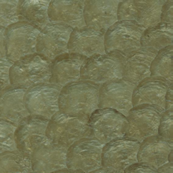 Обои Yate Sea Moon