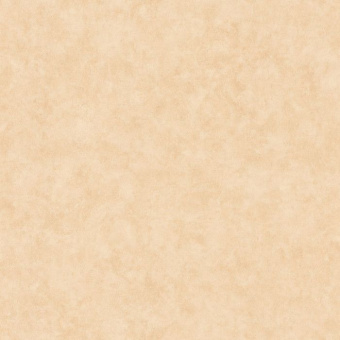 Обои Caselio Beton 2