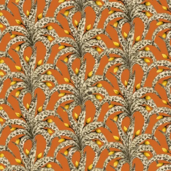 Обои Cole & Son Ardmore – Baobab