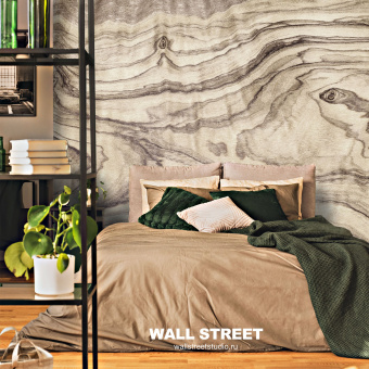 Фотообои Wall Street BERYOZI I VODOPADY