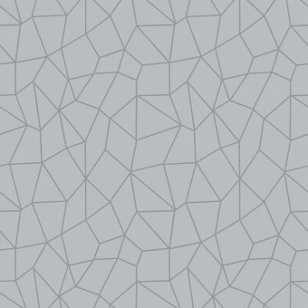 Обои Galerie Special FX2