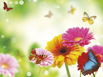 Фрески/Панно ORTOGRAF