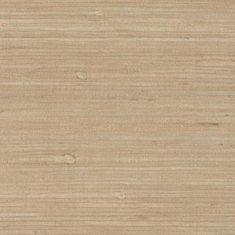 Обои Yate Into the Wild