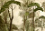 Фотообои My Fresco Природа