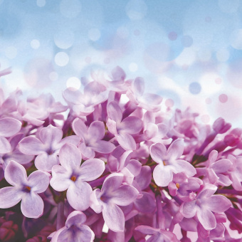 Фрески/Панно ORTOGRAF