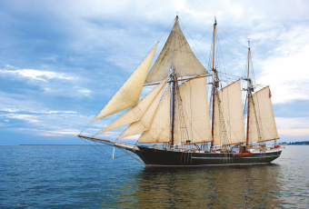 Фрески/Панно ORTOGRAF