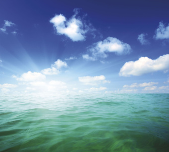 Фрески/Панно ORTOGRAF