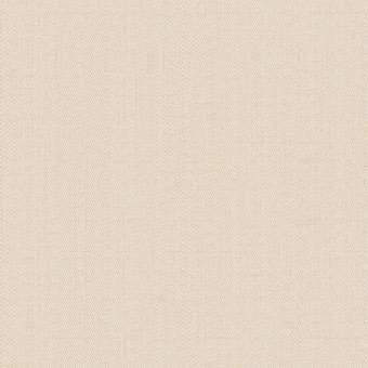 Обои Alessandro Allori Bruni