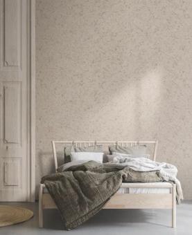 Обои Alessandro Allori Argiano