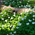 Обои Mr Perswall Photo