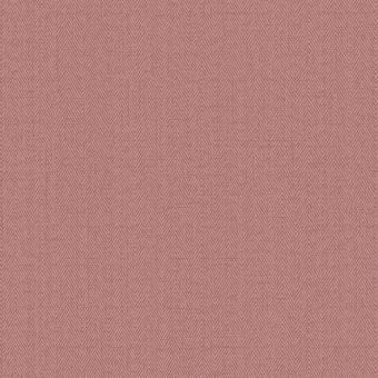 Обои Alessandro Allori Bruni