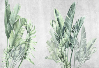 Фотообои My Fresco Природа