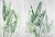 Обои My Fresco Природа