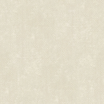 Обои Brewster Evolution 8